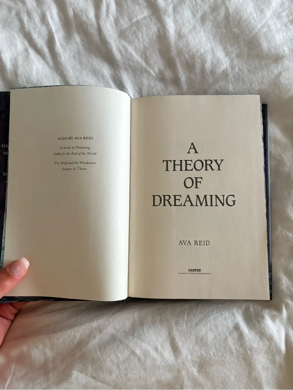 A Theory of Dreaming sprayed edge by Ava Reid NEW